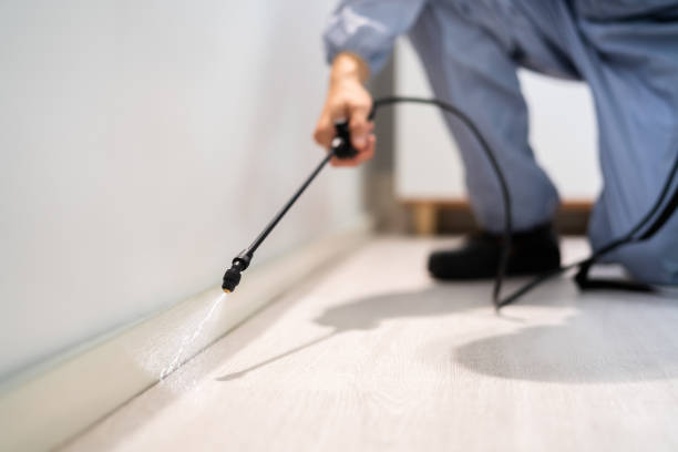 Licensed Mosquito Control service in Bloomington, TX - Show Me Pest Control