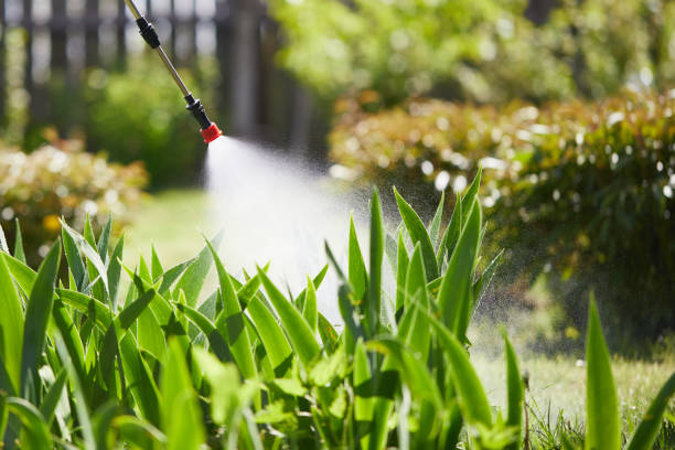 24/7 Emergency Mosquito Control experts in Bloomington, TX