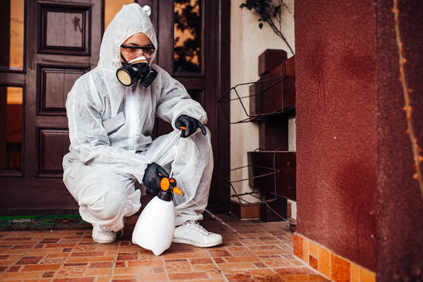Reliable Mosquito Control contractor in Bloomington, TX by Show Me Pest Control
